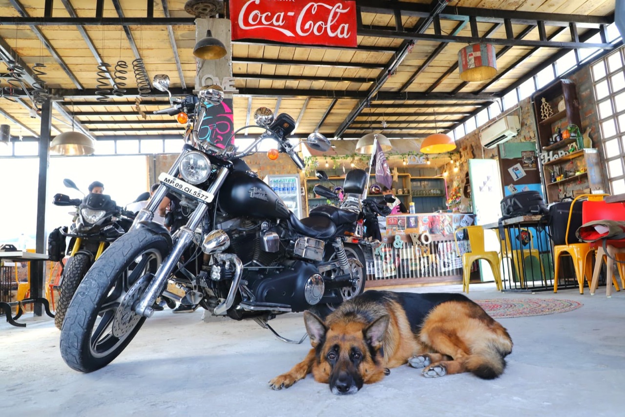 Furventures - Pet Adventures & Events - Photo 60